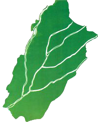 Punjab Map