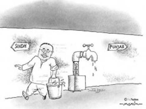 Maxim Cartoon